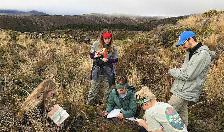 Students doing filed work at Tongariro National Park